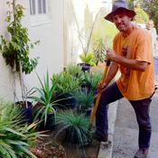 Delmar McComb, Garden Curator
